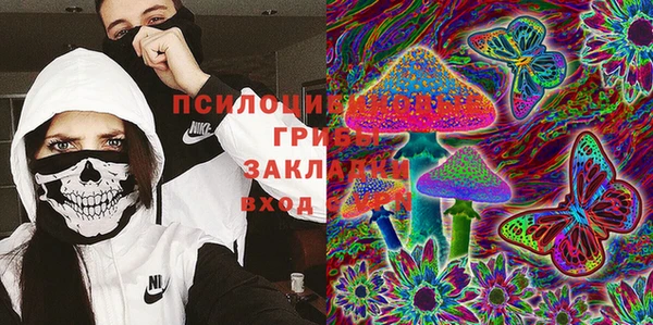 2c-b Аркадак