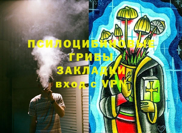 крисы Армянск